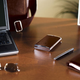 Illustration for article titled Iomega Introduces Leather 250GB Hip Flask, Er, eGo Drive